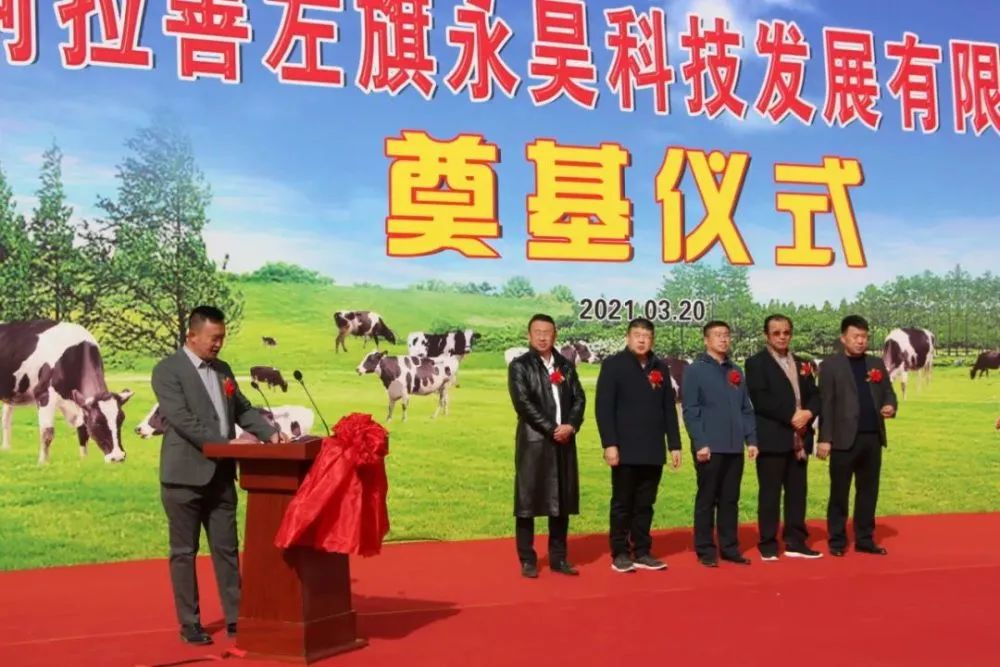 这家企业要在阿拉善建一座万头奶牛场!