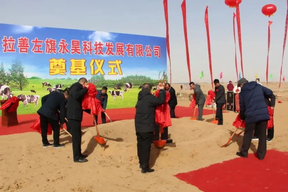 这家企业要在阿拉善建一座万头奶牛场!