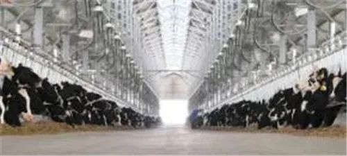 得益乳业：日产500吨低温乳品智能车间开工建设