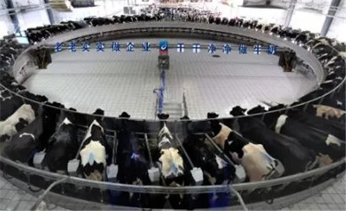得益乳业：日产500吨低温乳品智能车间开工建设