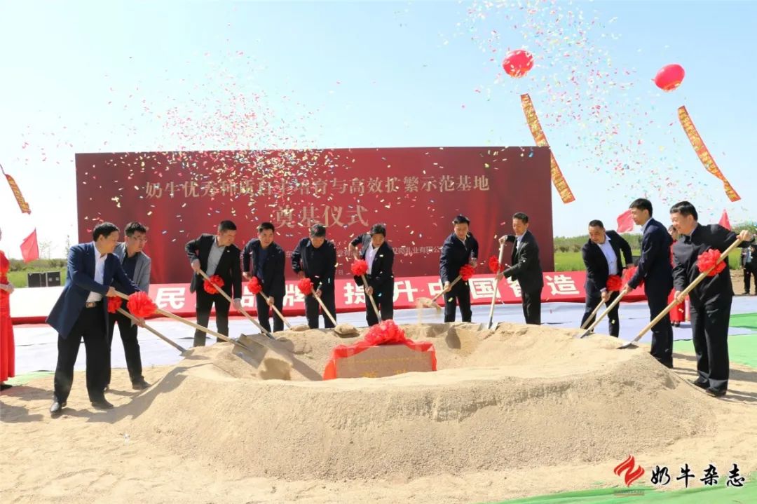 山东济南开建高水平奶牛优秀种质培育与高效扩繁基地