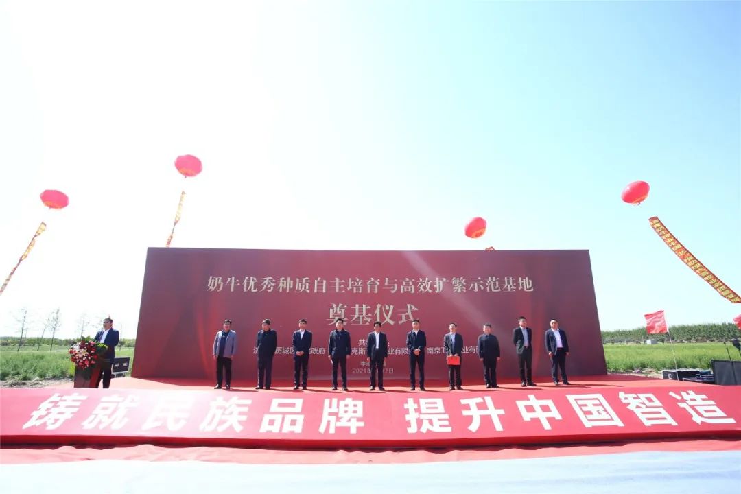 山东济南开建高水平奶牛优秀种质培育与高效扩繁基地