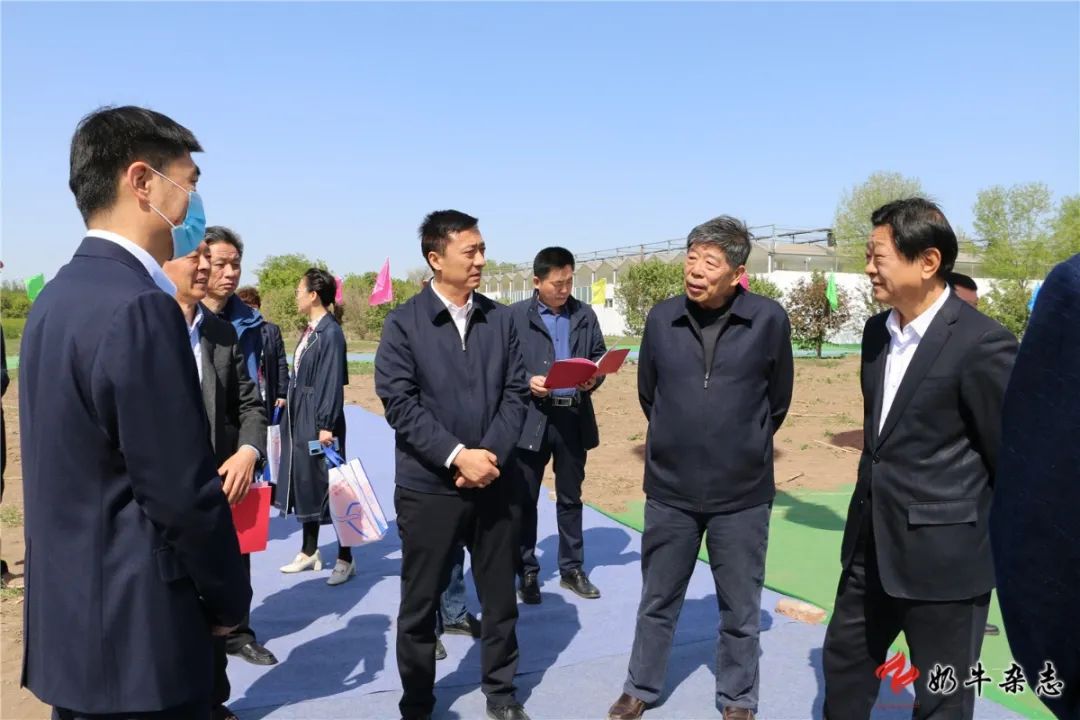 山东济南开建高水平奶牛优秀种质培育与高效扩繁基地
