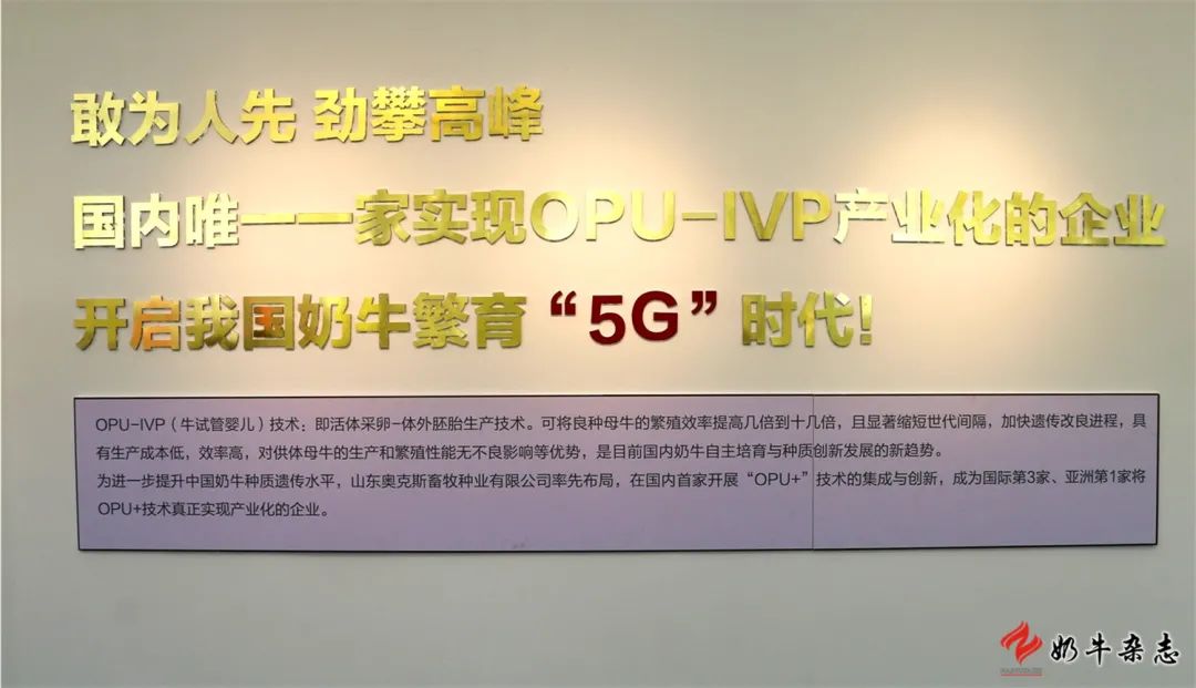 山东济南开建高水平奶牛优秀种质培育与高效扩繁基地
