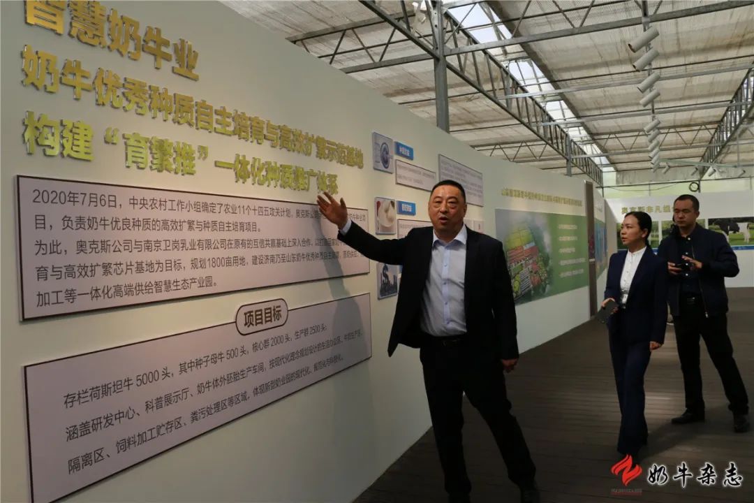 山东济南开建高水平奶牛优秀种质培育与高效扩繁基地