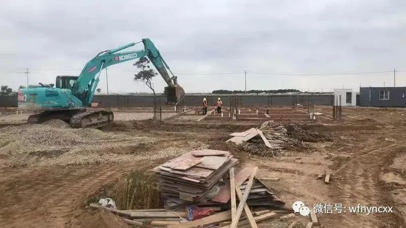 潍坊伊利集团10万头奶牛牧场项目布局全面完成