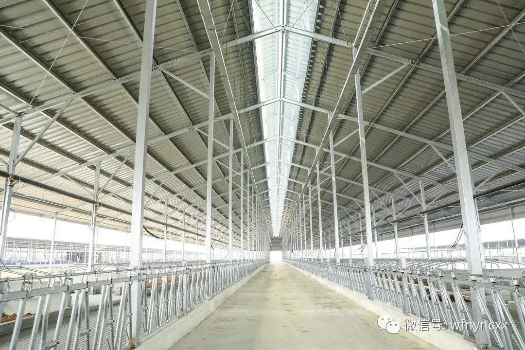 潍坊伊利集团10万头奶牛牧场项目布局全面完成