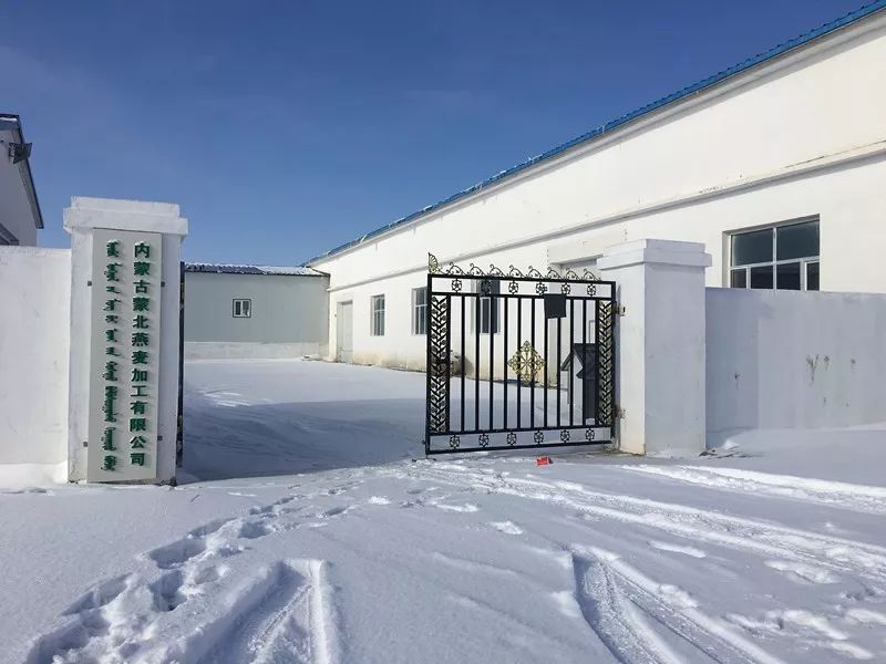 世界500强经理辞职种燕麦:只为种出一碗健康早餐