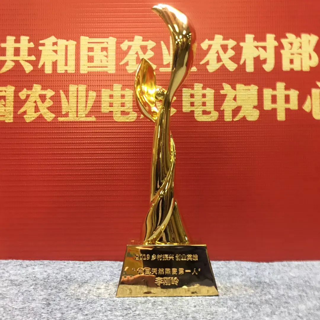 世界500强经理辞职种燕麦:只为种出一碗健康早餐
