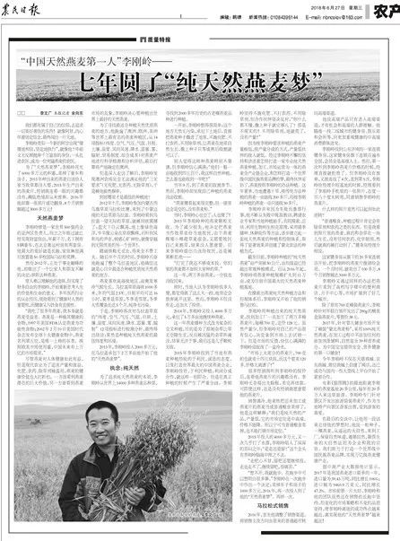 世界500强经理辞职种燕麦:只为种出一碗健康早餐