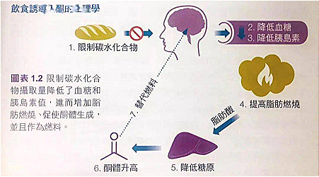 趋势|生酮食品的舞台拉开了帷幕,未来将有多大的市场?