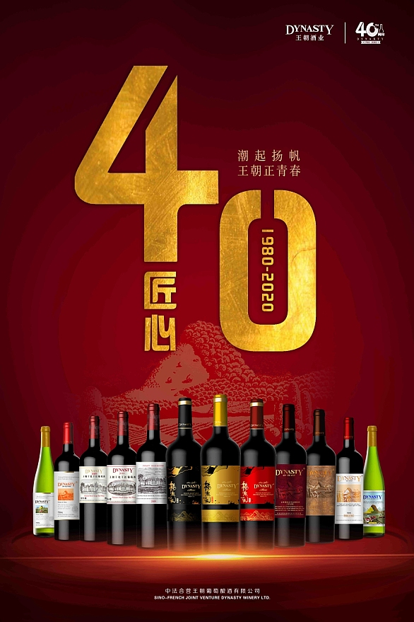 王朝40年系列报道|同行40载,戮力开拓,实现江苏“共赢力量”