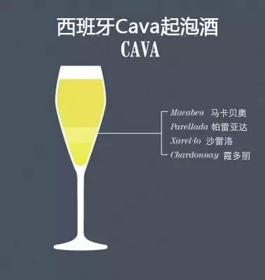 葡萄酒的“单酿”和“混酿”,究竟哪种更好喝?