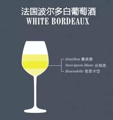 葡萄酒的“单酿”和“混酿”,究竟哪种更好喝?