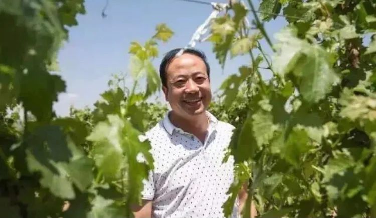维加妮酒庄：打动消费者最好的方式“坚守高品质”