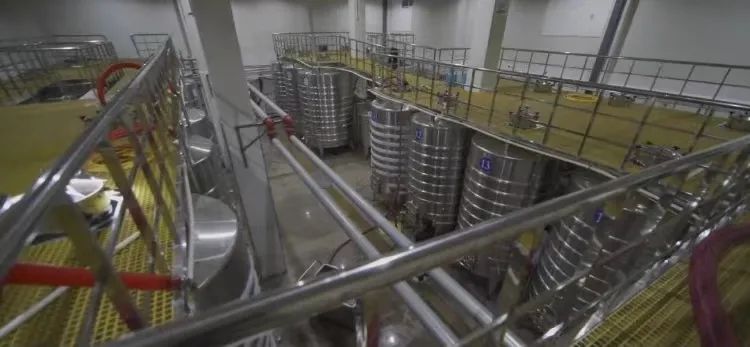 维加妮酒庄：打动消费者最好的方式“坚守高品质”
