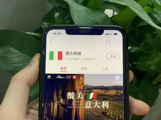 拼多多、美团被约谈,品牌酒类线上销售有望受益