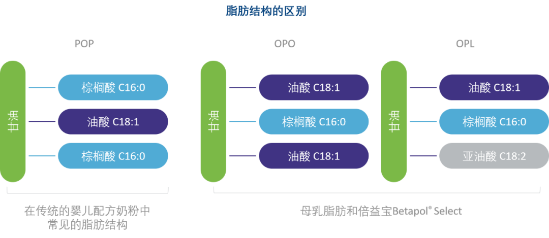 仲景食品2020年净利大涨41%，自嗨锅开卖糖果礼盒……