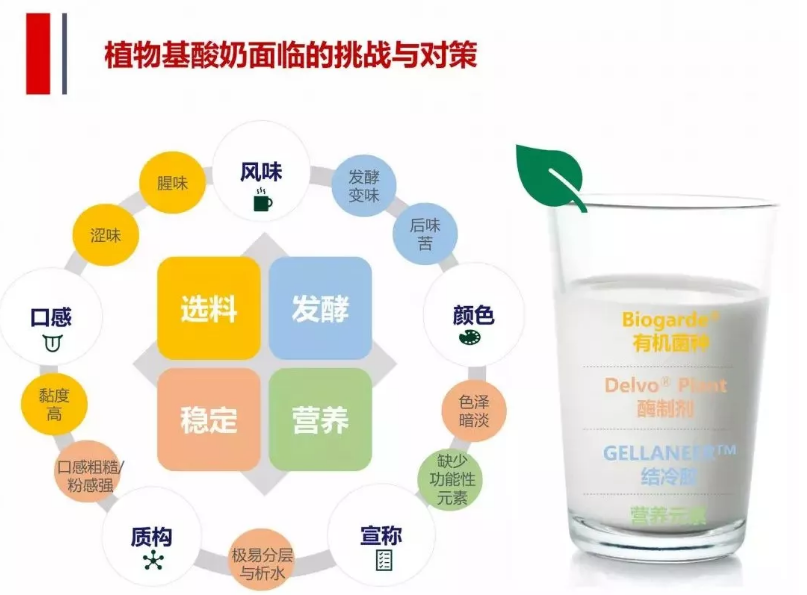 研析达利食品豆本豆新品植物酸奶的成长性