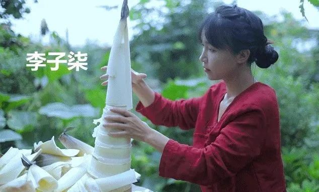 李子柒、中石化、喜茶…跨界食品圈,是抢了饭碗还是昙花一现?
