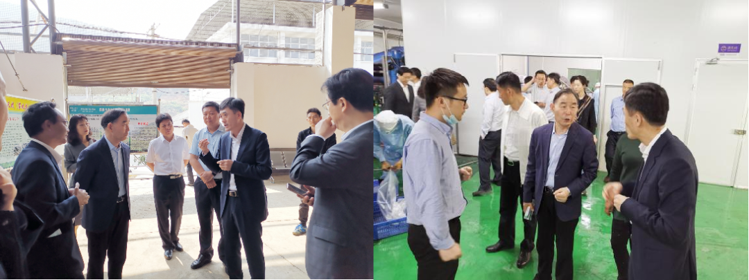 上市不到两月全国现多点热销，桑加1成饮品行业黑马