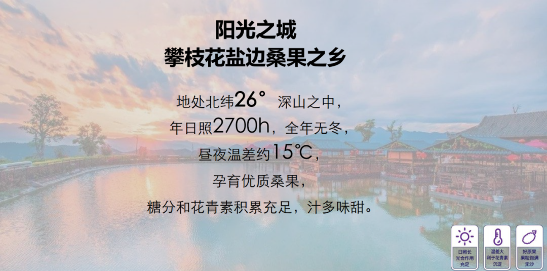 对话马晓波 | 聚焦新赛道,中禾宝桑为中国桑果汁代言