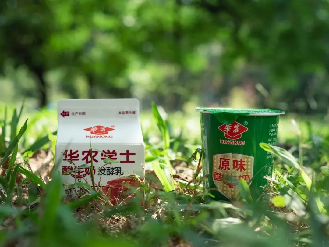 淘宝发起“高校科研美食pk赛”，这些美食组团出道！