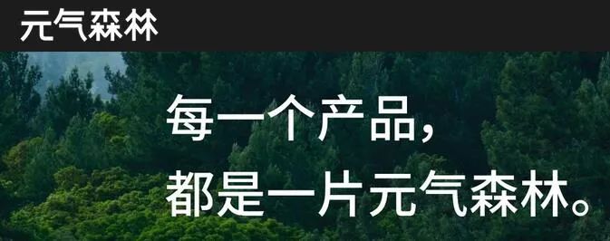 最新估值逼近300亿,元气森林的资本“封神路”……