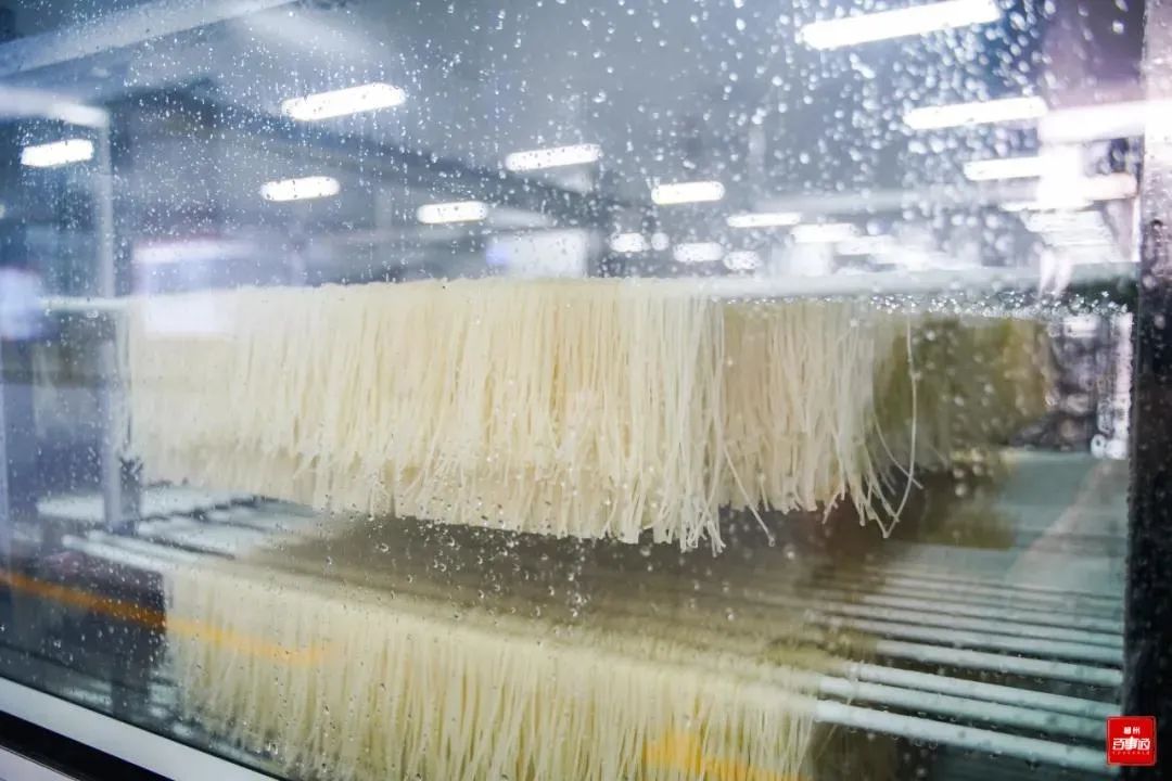 四部门联袂推动“螺蛳粉文化体验游”，螺霸王与湖南卫视战略合作助力品牌升级