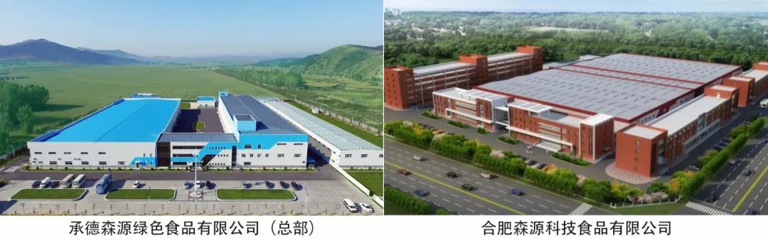 森源·杏仁轻饮：下一个破圈植物蛋白饮料市场的新爆款