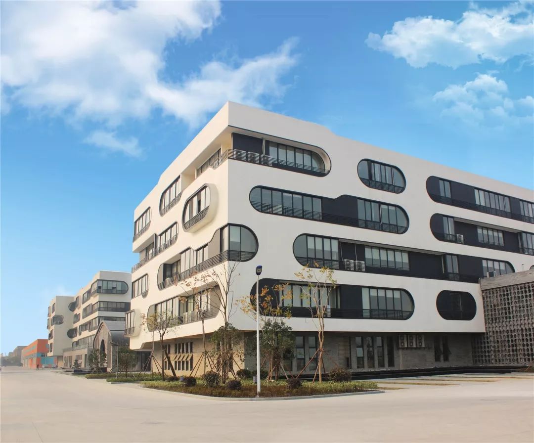 宗馥莉对KellyOne有期待,CHACHA新品上市