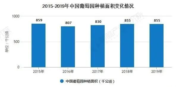 2020年中国葡萄酒行业市场现状及竞争格局分析