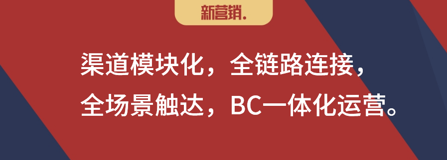 数字化改变营销之17：品牌商数字化渠道的四条路线
