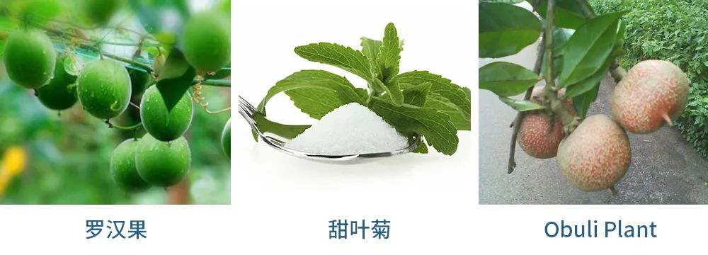 从2021年度食品配料8大趋势,看健康配料如何击中消费者的心?