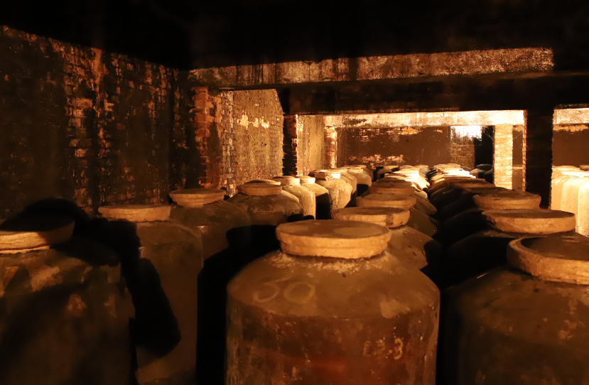 白水杜康,酒类新渠道的践行者