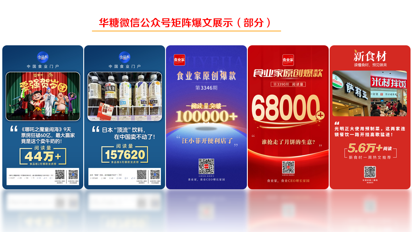 大会介绍 第 10 张